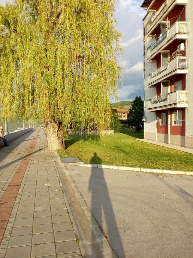 Apartman Bogojevic 골루바츠 외부 사진